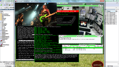 QMovie playing Maidens, loosely integrated into QL/E v3.16 wip