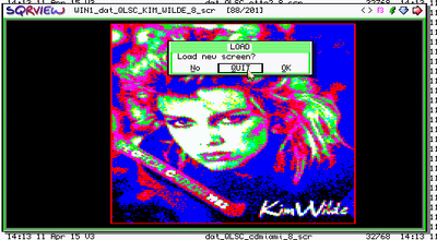 When pressing ESC on a picture showed, SQRview continues with more dialogs. First this one.