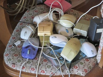 Mice.jpg