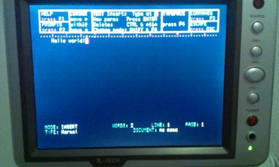 quill_running.jpg