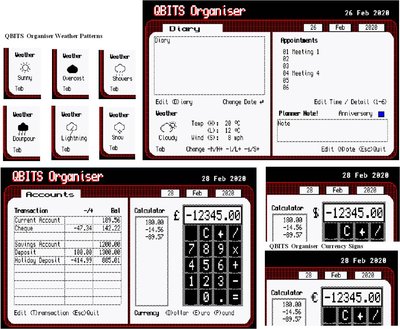 QBITS Organiser 02.jpg