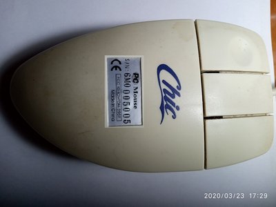 Mouse.jpg