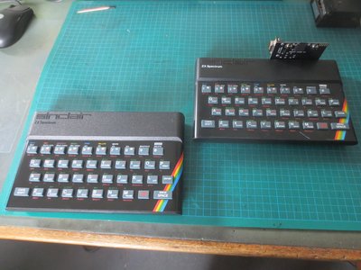 m_IMG_7865.jpg