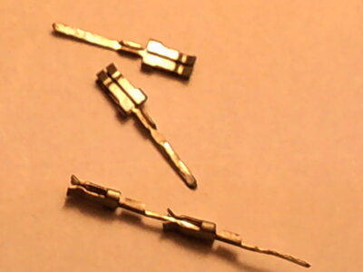 DSCF0096s.JPG