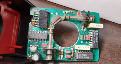 150019595_3646826482063468_6878853566675101960_n.jpg