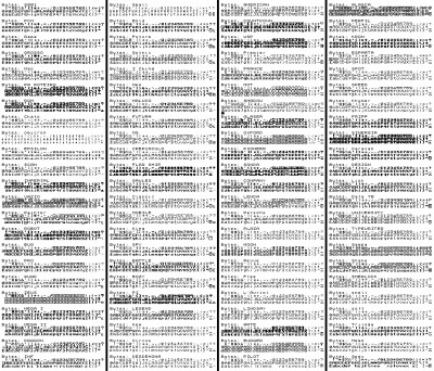 ZXFonts.jpg