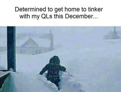 QLing at Christmas