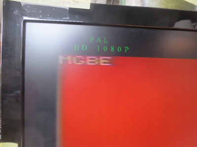 m_IMG_4266.jpg