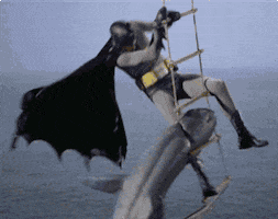 batman-shark.gif